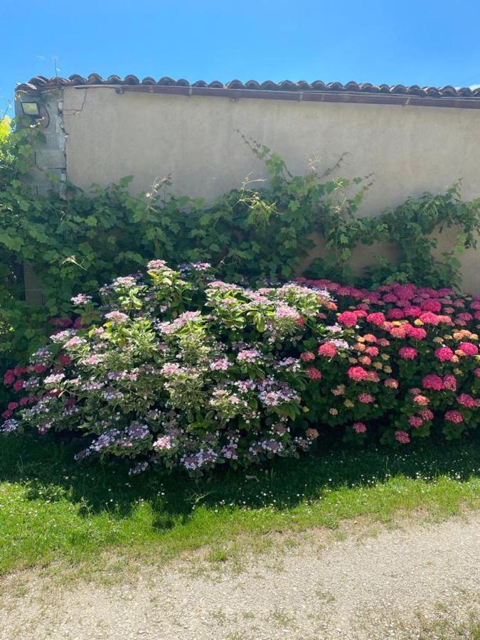 No5 Chambre D'Hotes Courcome Экстерьер фото