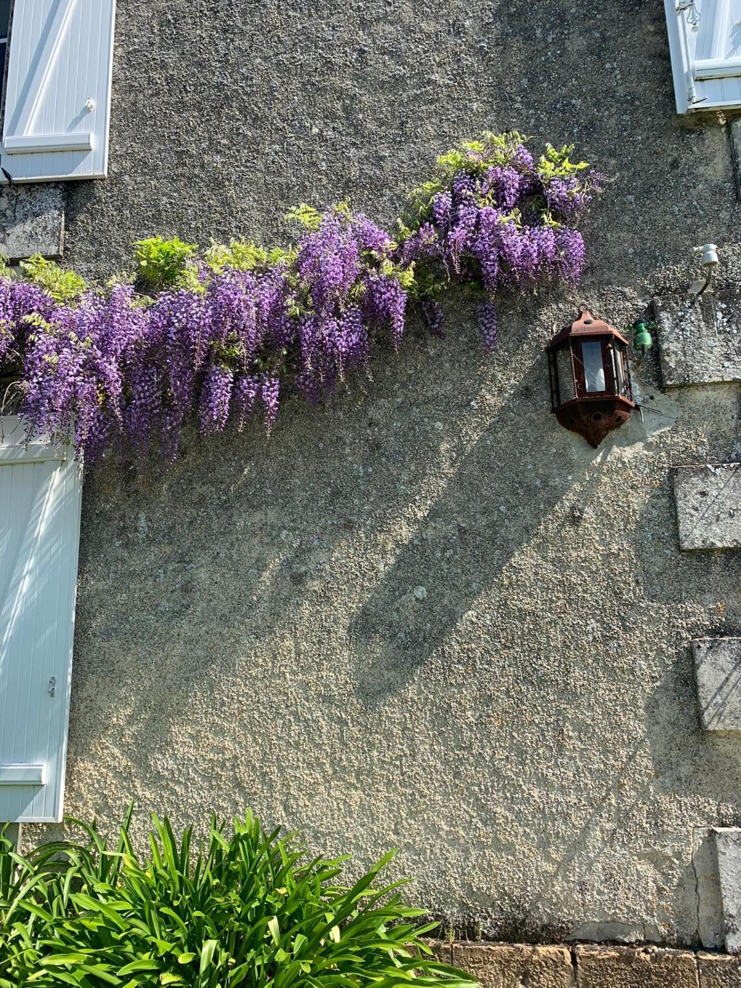 No5 Chambre D'Hotes Courcome Экстерьер фото